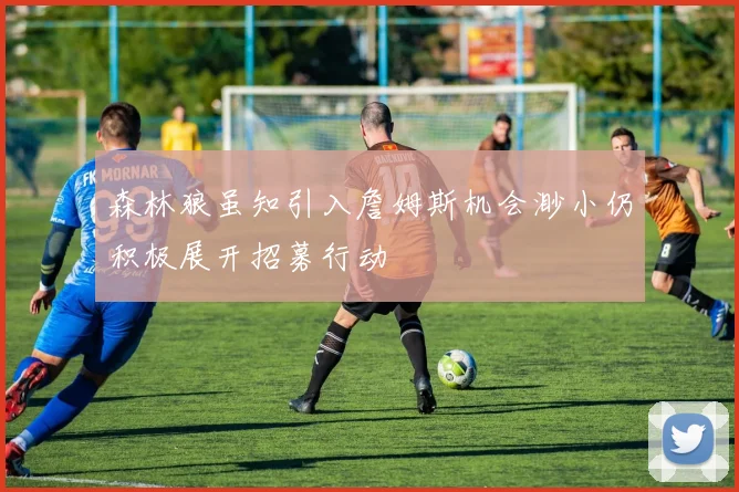 森林狼虽知引入詹姆斯机会渺小仍积极展开招募行动