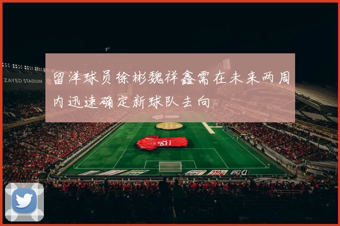 留洋球员徐彬魏祥鑫需在未来两周内迅速确定新球队去向